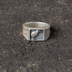 Tahi - Kiwi Signet Ring.