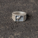 Tahi - Kiwi Signet Ring.
