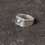 Tahi - Kiwi Signet Ring.