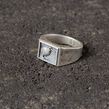 Tahi - Kiwi Signet Ring.