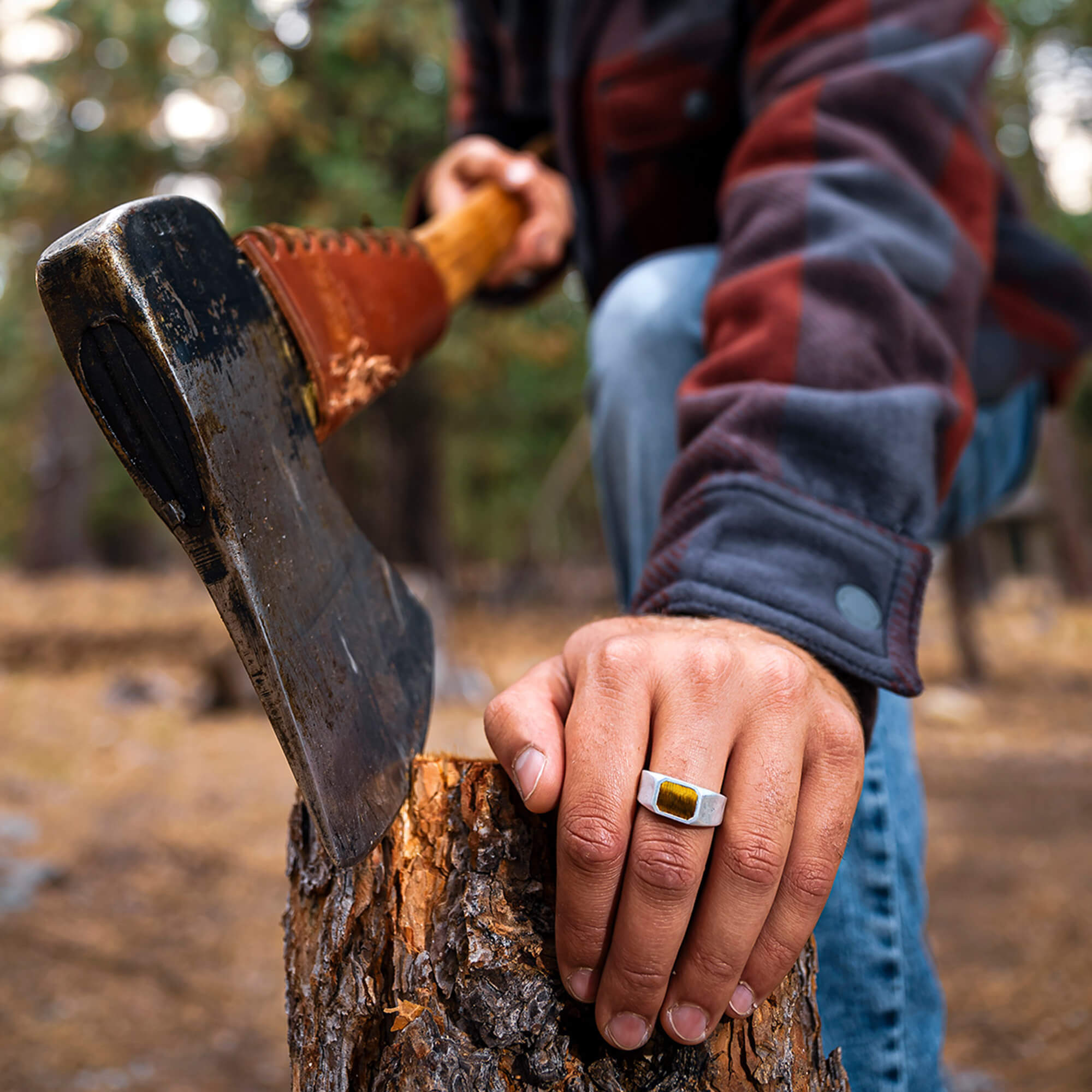 Person holding an axe on a tree stump in a forest setting