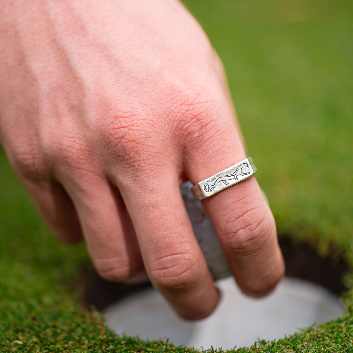 Hand wearing a silver ring with a design on a grassy background