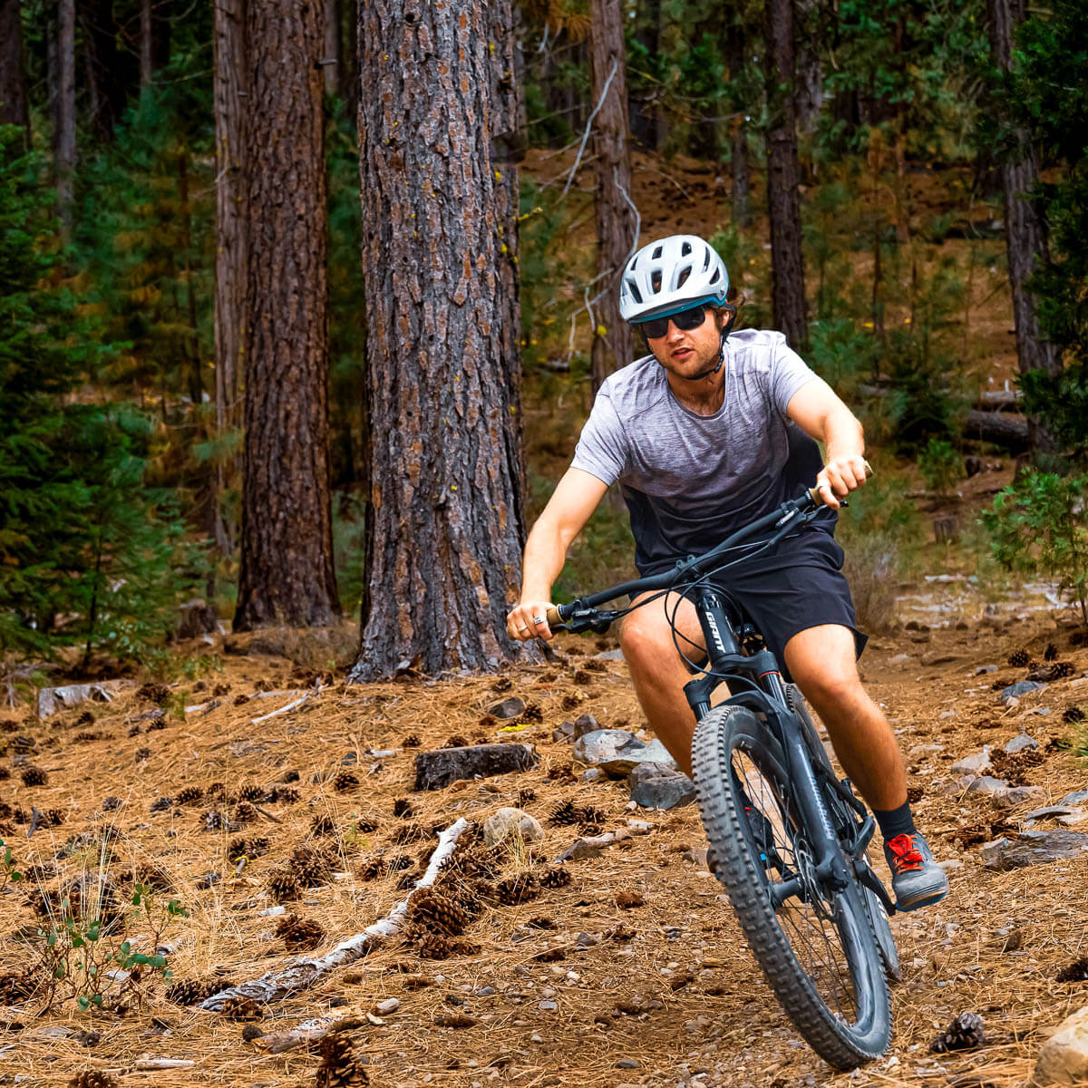 Person mountain biking on a trail in a forest